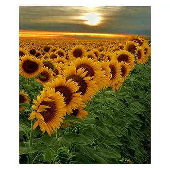 

Sunflower's scenic diamonds painted in 2019's boyfriend's latest gift, the most fashionable painting