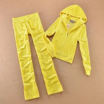 

Spring/Fall 2020 Velvet Two Pieces Outfits Hooded Tops and Sweat Pants Set Tracksuit Women Sportwear XS-XL