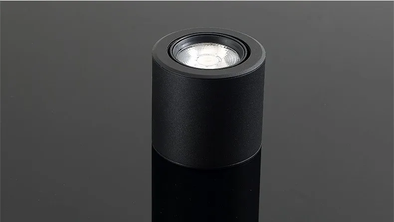 LED Track Light 10