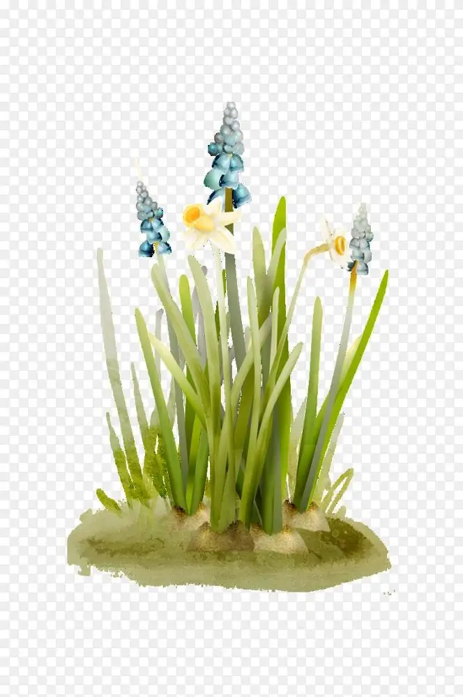 画卡通花卉 卡通插花装饰草png图片素材免费下载 图片编号 Png素材网