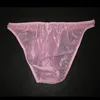 High-end Gay Men Underwear Transparent Lyca Fabric Underwear Male Cool Sexy Elephant Nose Big Pouch Briefs 2