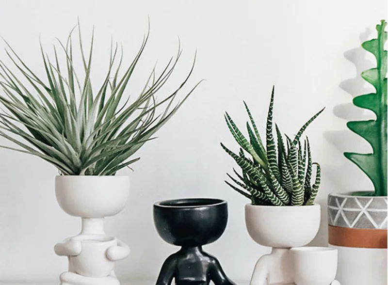 O1CN01r79LpW1kralFnuxFn_!!411044737