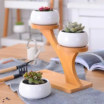 

Ceramic Succulent Plant Flower Pot Planter Holder Bamboo Shelf Desktop Decor