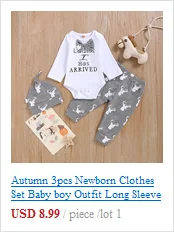Зимняя спортивная одежда для новорожденных девочек толстовка с капюшоном и рисунком животных+ длинные штаны комплект одежды из 2 предметов, комплекты одежды для маленьких мальчиков