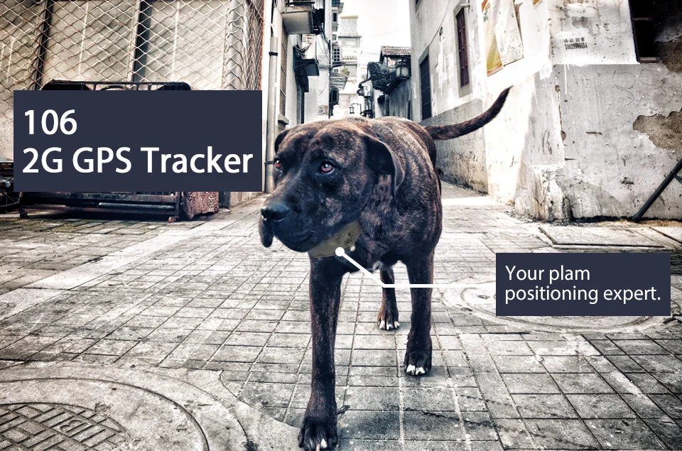 Hound gps Collor трекер для собак анти-потеря в реальном времени гео забор история трек локатор