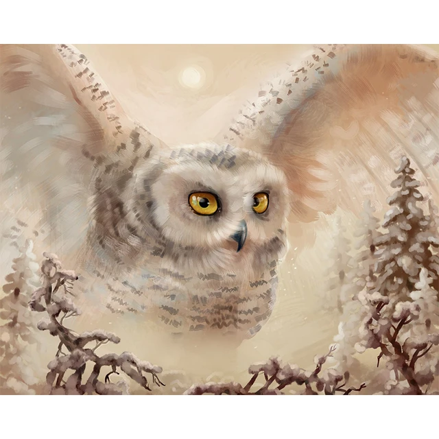 5d Diamond Owl Embroidery Painting  Diamond Painting Full Square Owl -  Diamond Art - Aliexpress