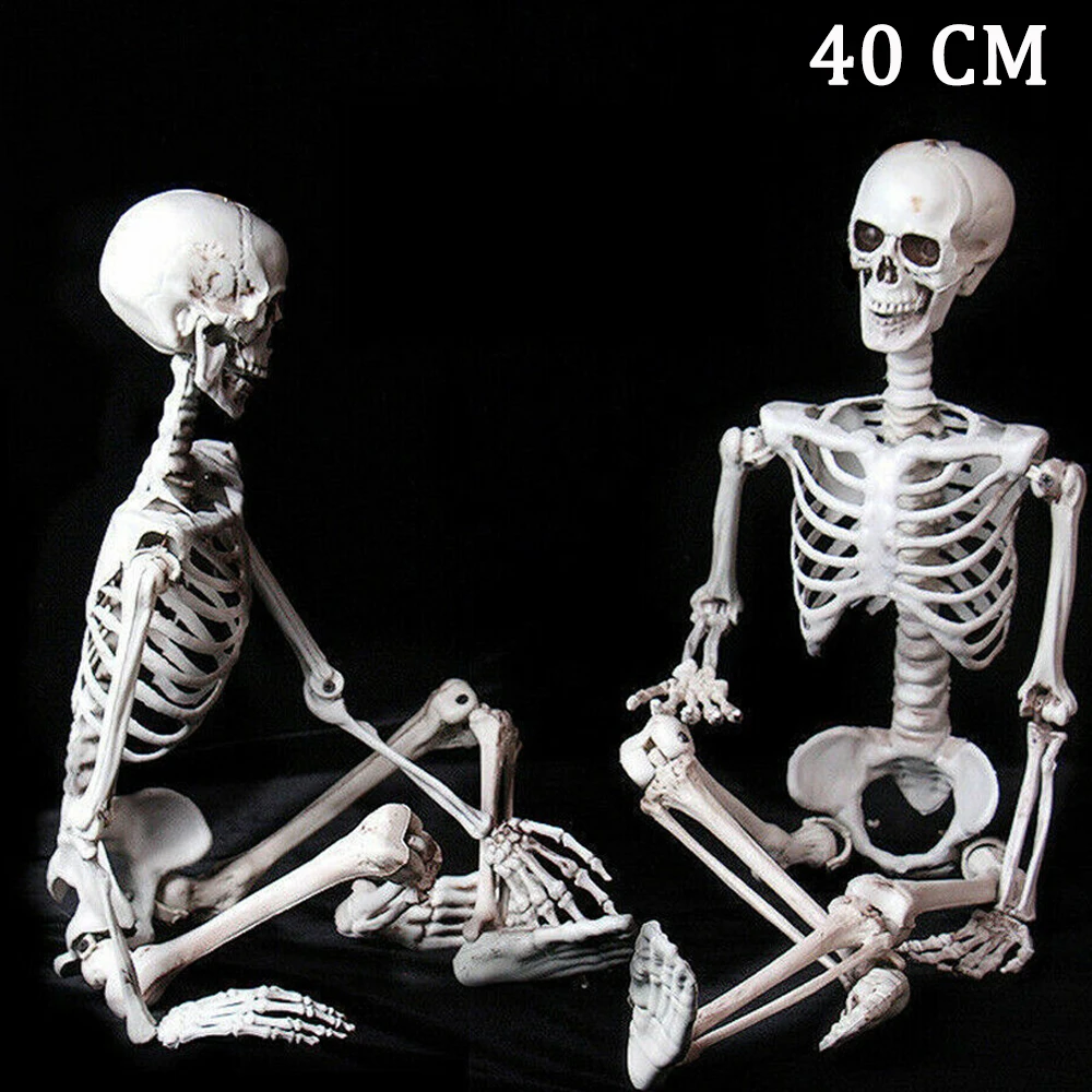 

Poseable Full Life Size Human Skeleton Halloween Decoration Party Prop New 40cm