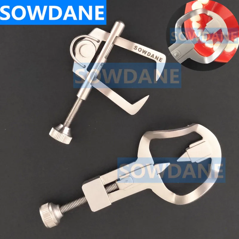 

High Quality Dental Tooth Teeth Seperator Wedge Retainer Anterior Teeth Posterior Tool Teeth Whitening Oral Care