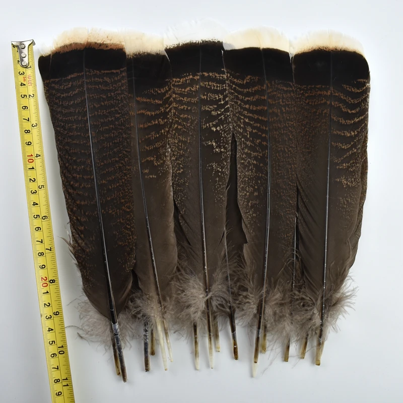 Natural Turkey White Feathers Set Craft Turkey Feathers Real Bird