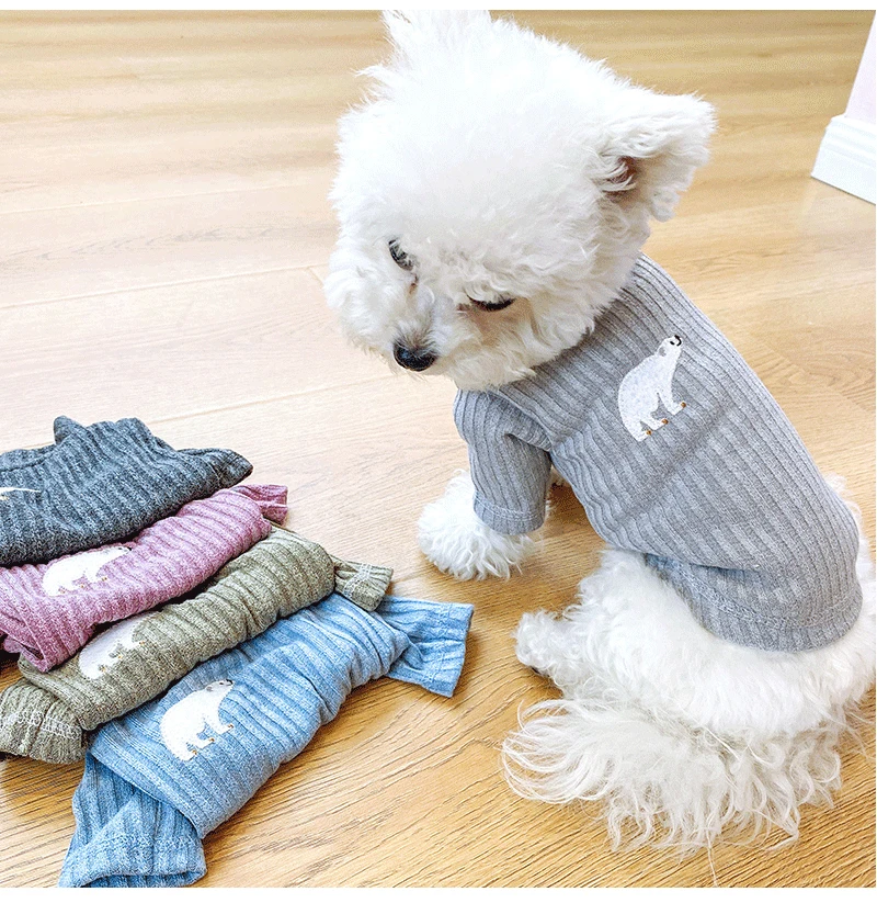 small dog clothes