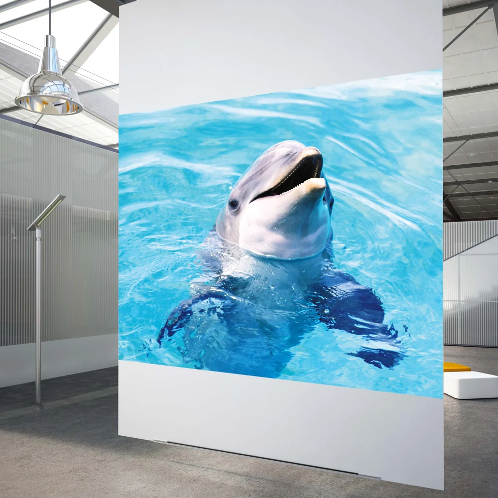 A4 sample 5Colors Rear Projection Film Screen Film Holographic Projection Wall Home Office tint rear projection film