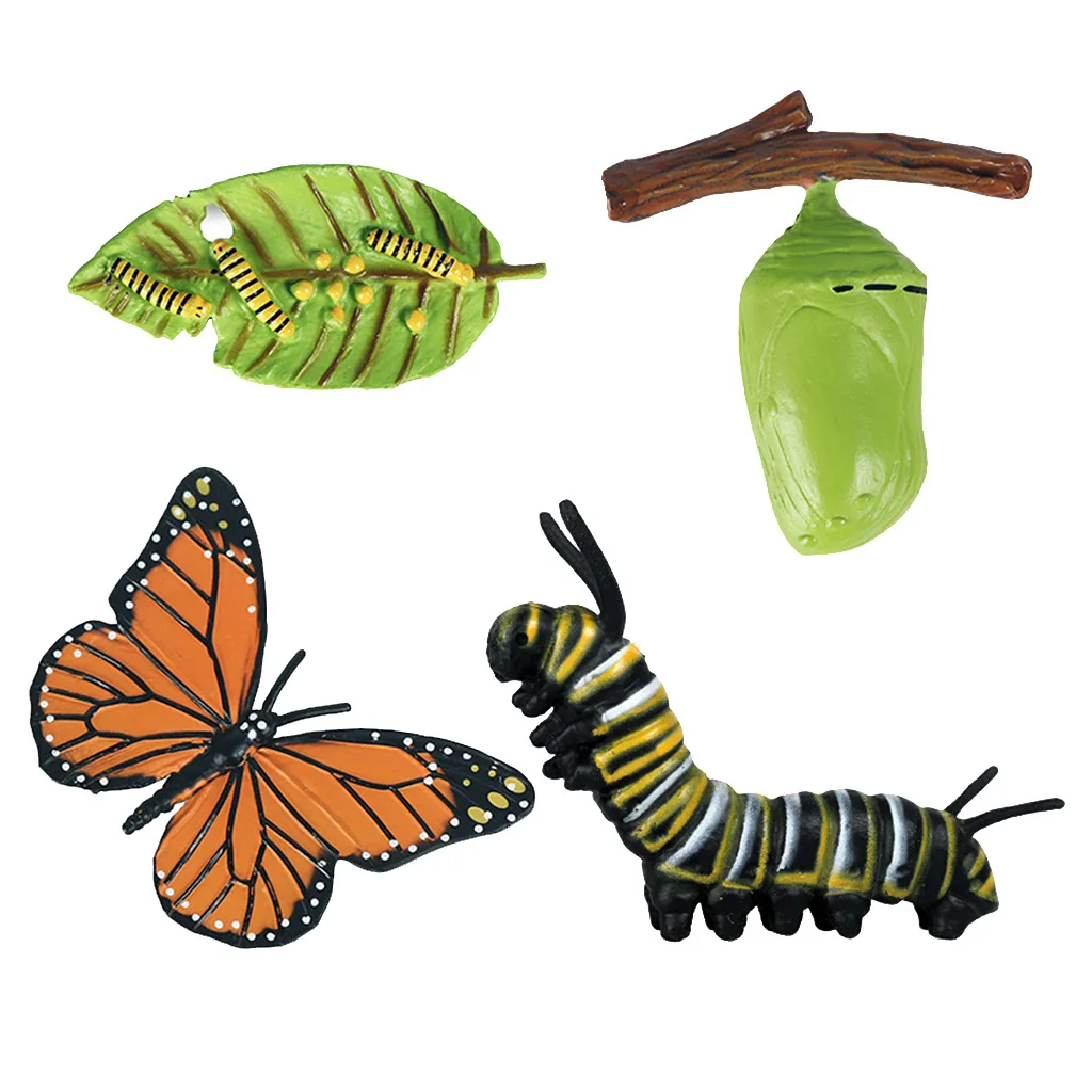 Nature Butterfly Life Cycle Stages Insect Growth Figures Playset Pre-school Early Education Learning Toys for Kids Toddlers