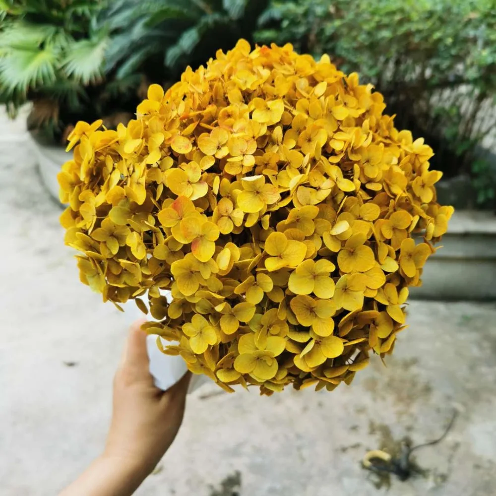 8e83541526d5f76d386c7e71b30d9c9