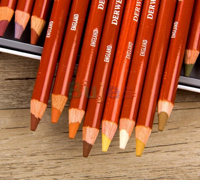 Derwent Drawing Pencils Set [24] in Natural Tones