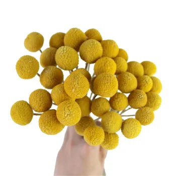

20pcs Dried Craspedia Yellow Billy Balls Dried Flowers For Wedding Bouquet Decor Christmas Wreath DIY
