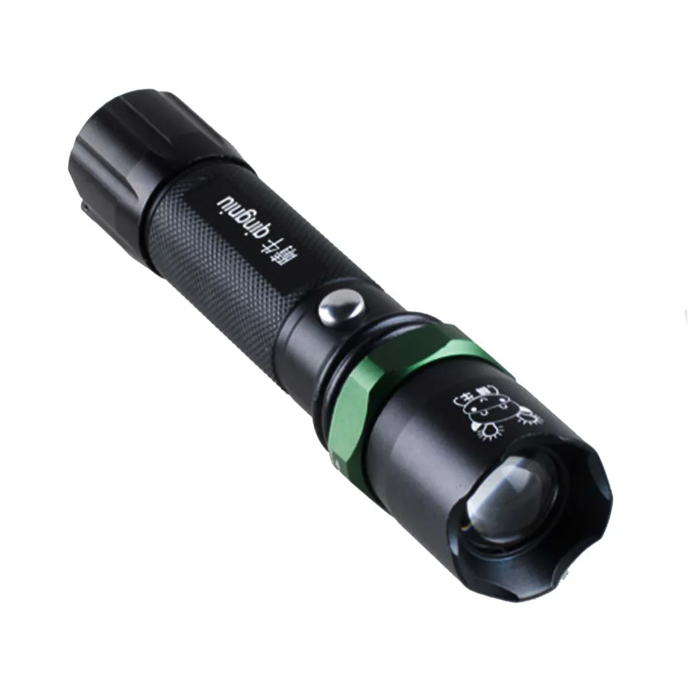 

Rechargeable Fishing LED flashlight Super Bright Q5 LED waterproof torch 5 mode Zoomable flashlight with DC charger
