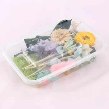 

Pressed Flower Mixed Dried Flowers DIY Art Floral Decors Collection Gift Craft DIY Home 66CY