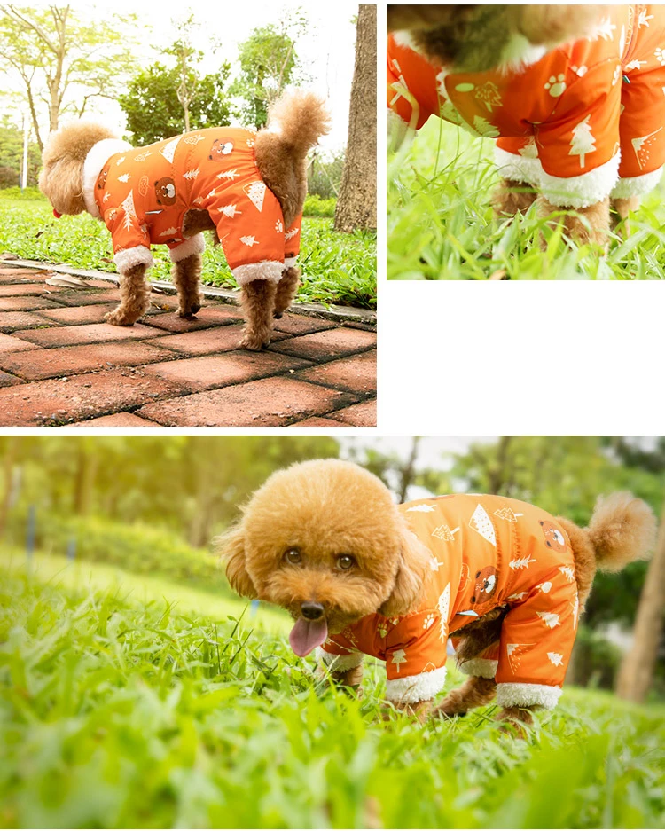 O1CN01gdIQu51LdyYMT44mV_!!2243061323