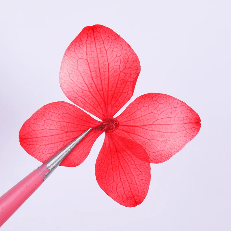 1 сумка Гортензия сушеные цветы лист натуральный цветочный 3D сухой цветочный дизайн ногтей Советы украшения DIY Дизайн Маникюр для УФ гель-лака