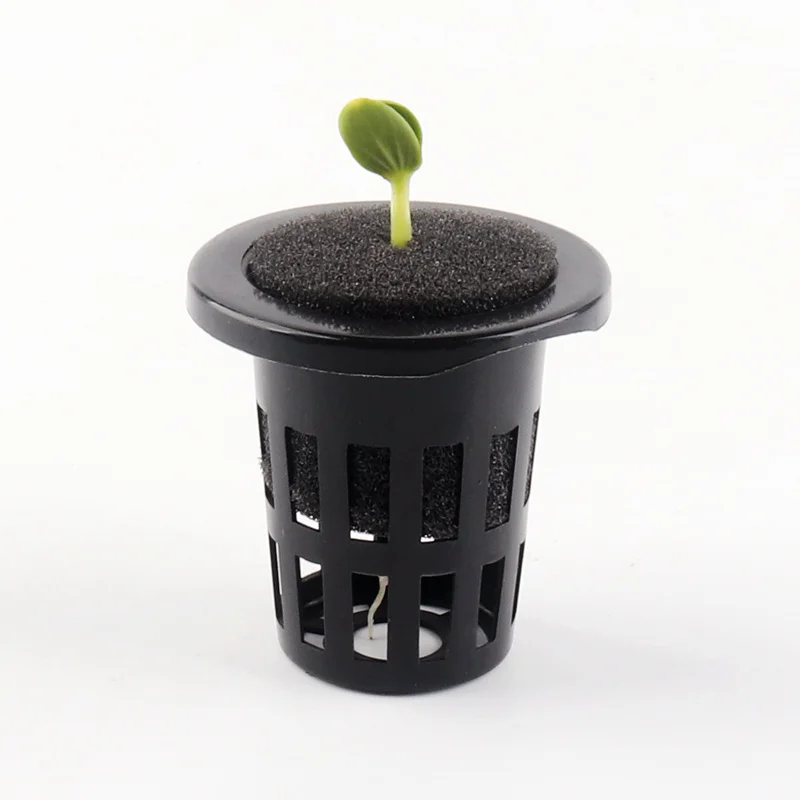 100pc Hydroponics Block Cloning Collar Black Rooting Sponge Aquaponics Net Pot Sponge Anti-Alga 4 Size Available