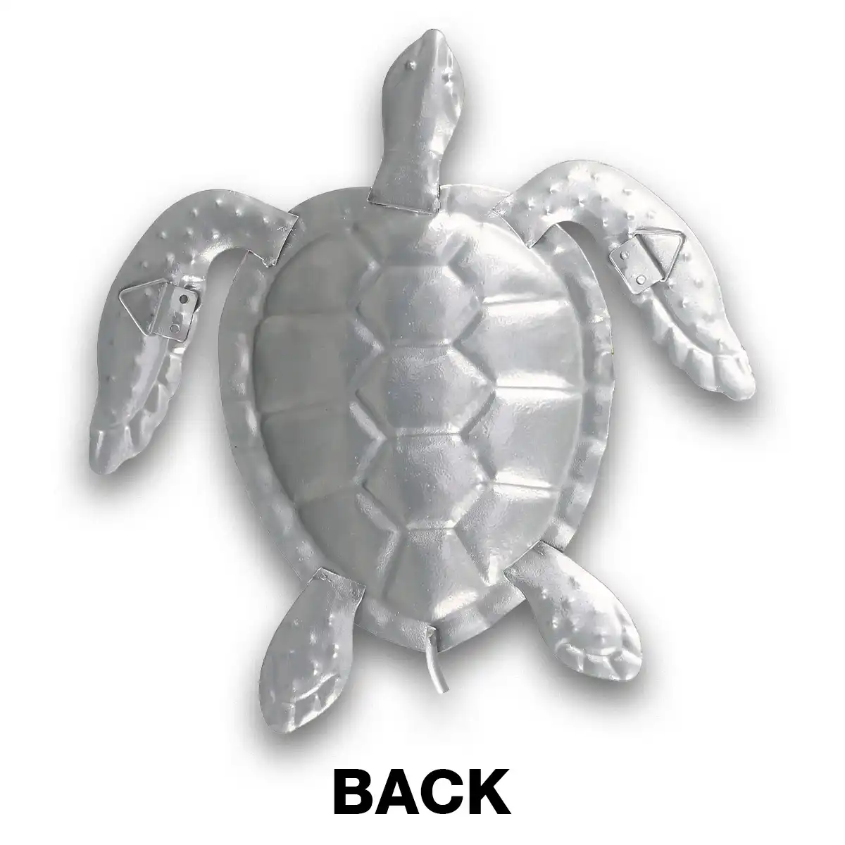 Get Wallpaper Tortuga De Colores Pared Decoracion Costa Oceano Arte De Pared Del For iPhone