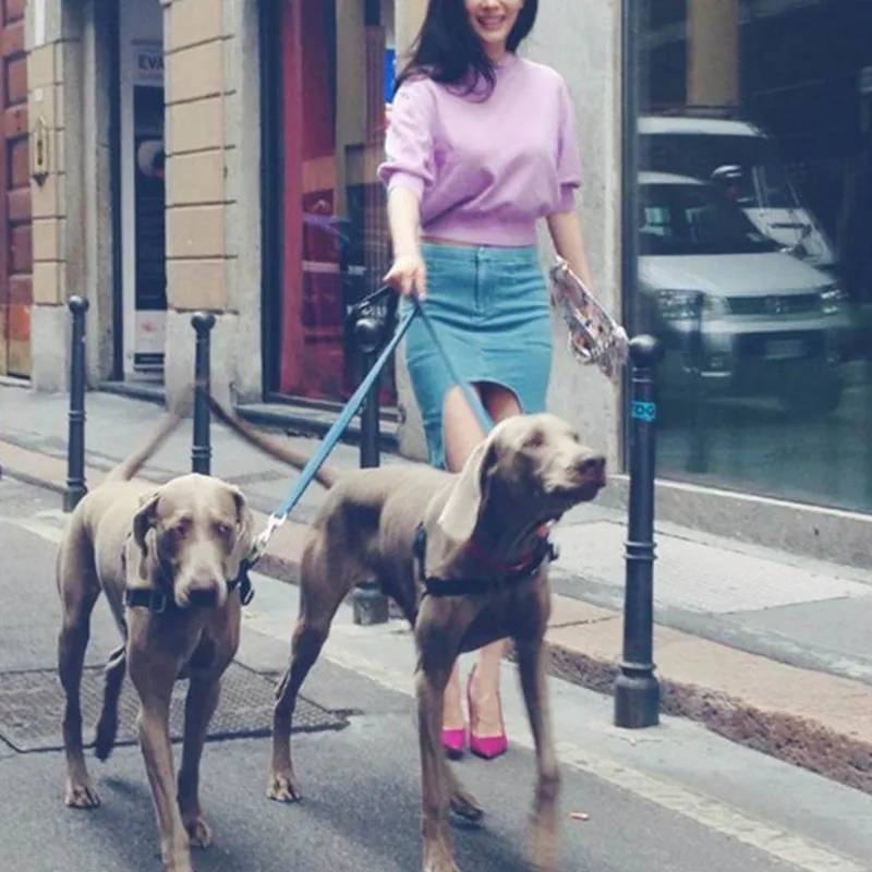 2447199656_59755540_conew1