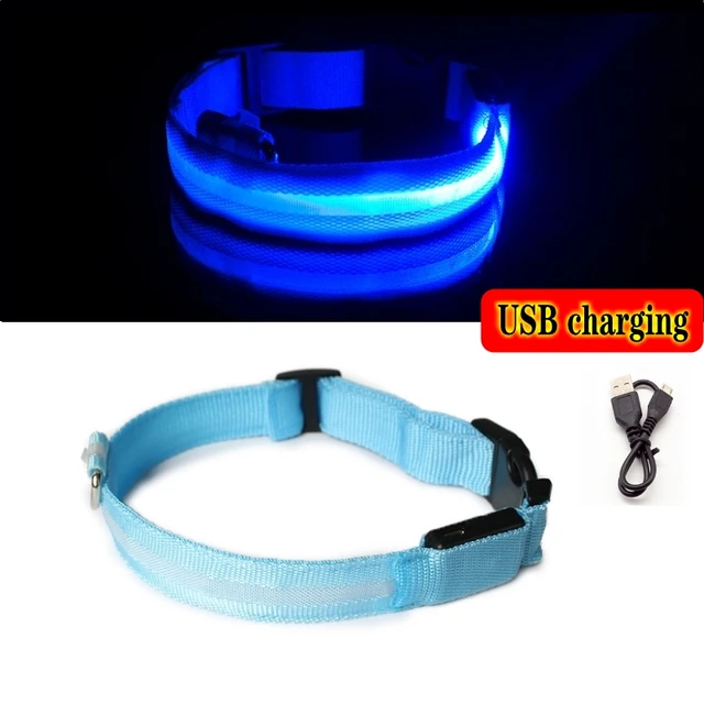 USB charging LED dog light pet dog collar anti-lost at night/avoid cat and dog puppies car accident flashing luminous collar Blue USB charging