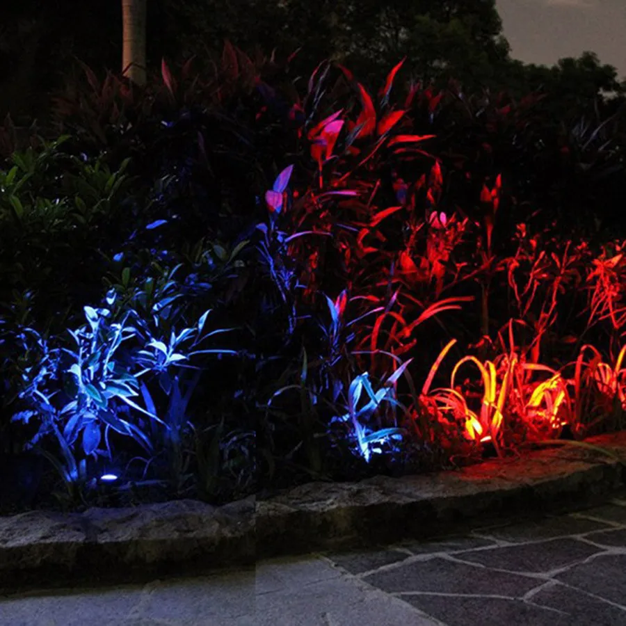 11080891039_1789962071