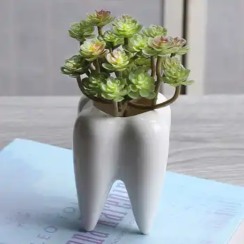 

Ceramic Fleshy Small Flowerpot Tooth Shape Table Plant Pot Green Succulent Planter Green Bonsai Cactus Container For Home Decor