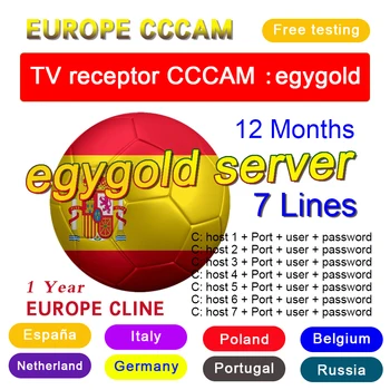 

Spain TV receptor CCCAM Cccam Europa egygold server for Germany UK Poland Portugal Receptor HD DVB-S2 C-line V8 V9 free test