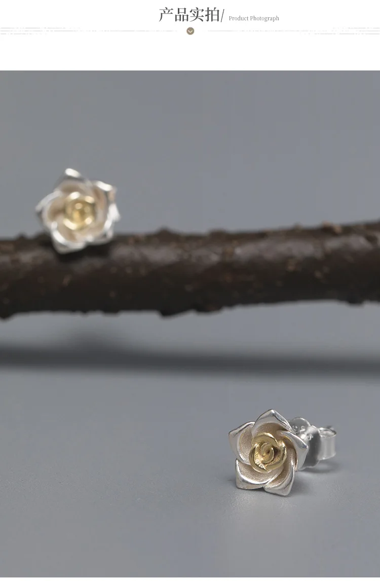 11365992696_896826829