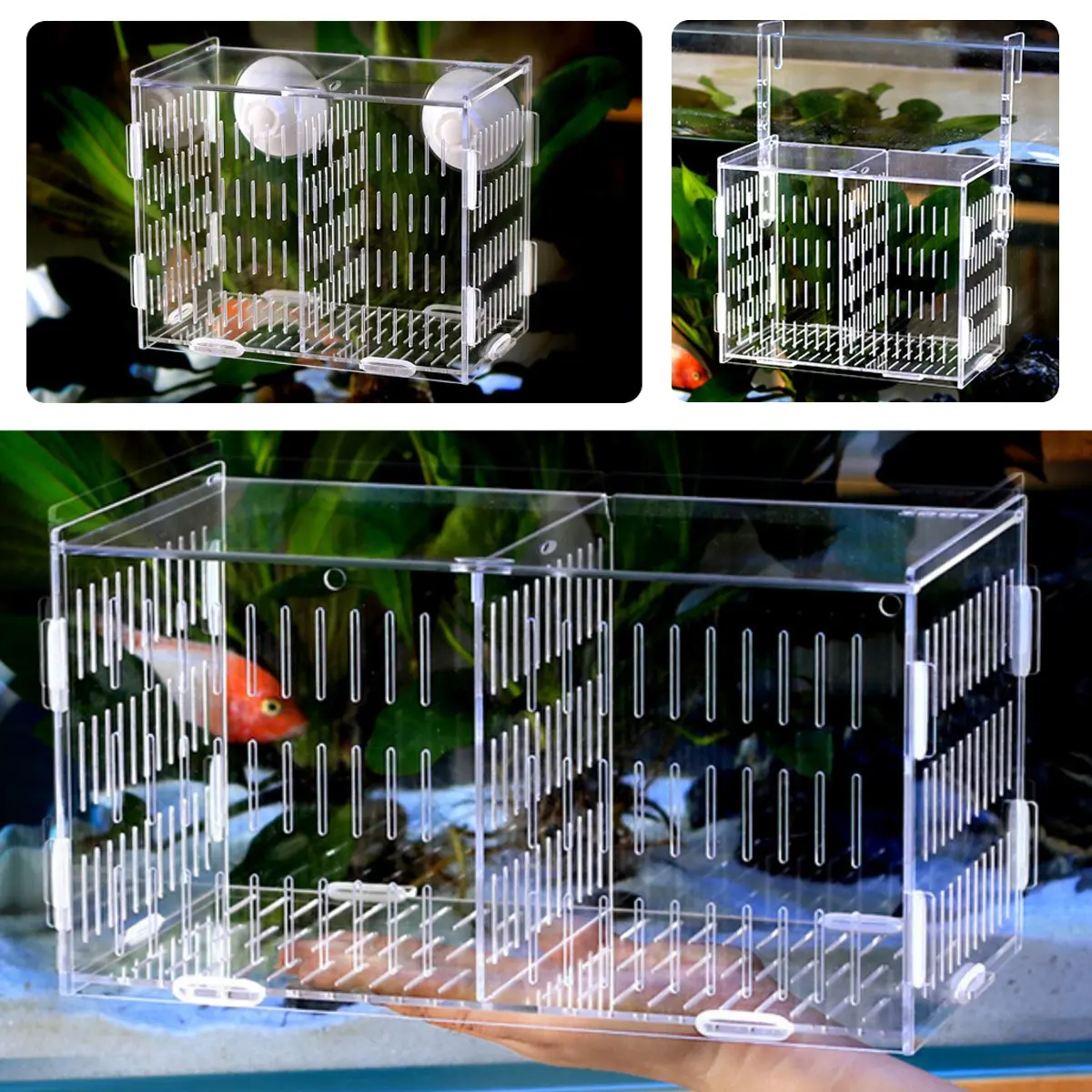 

Aquarium Breeding Hatchery Boxes Fish Tank Acrylic Incubator Aquarium Isolation Breeder Boxes Transparent Breeding Isolation Box