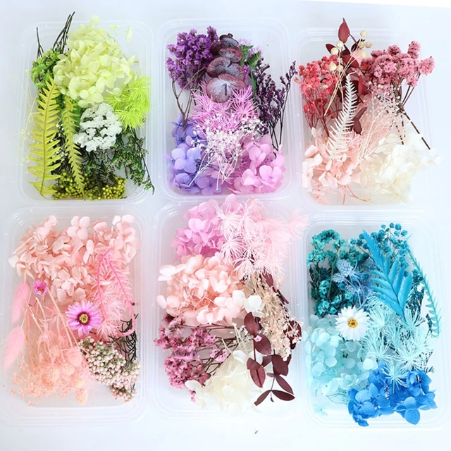 Filling Materials Jewelry Making Resin Filler Dried Flowers Resin