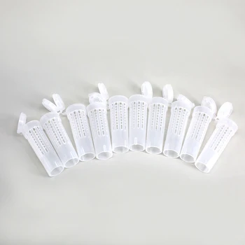

100* Cell Cups Cupkit Complete Bee Queen Rearing System Beekeeping Box Set Tools