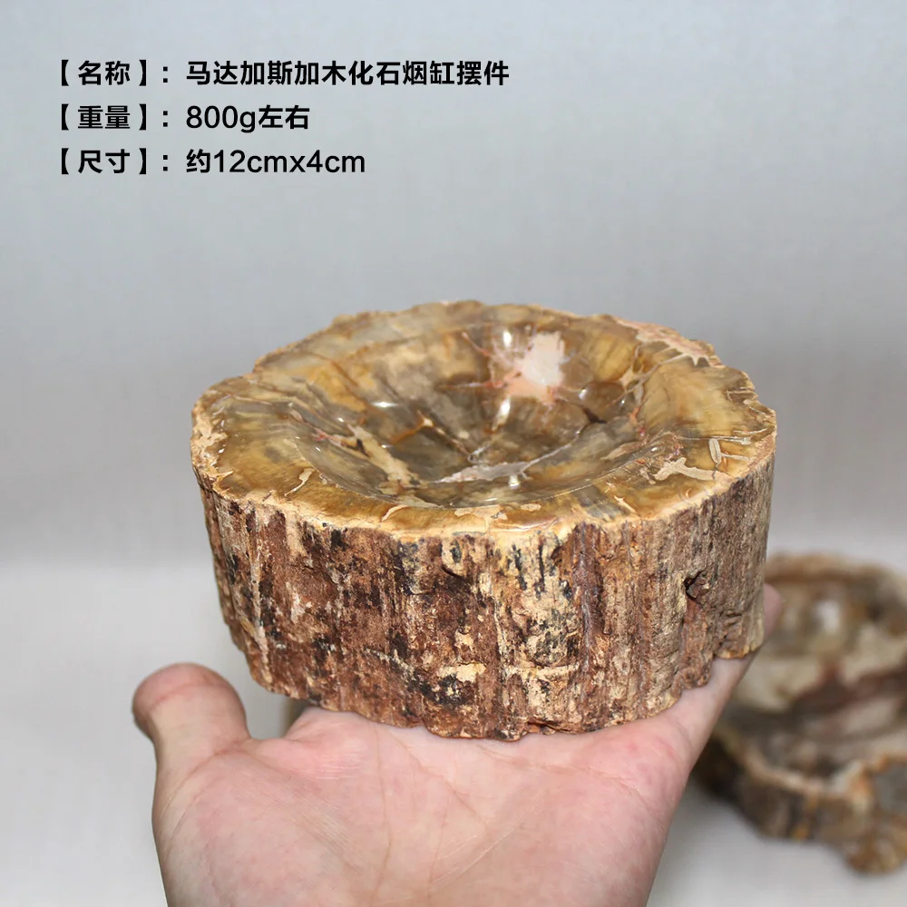 Runyangshi 1 шт. Красивая натуральная древесина fossil wood fossil ручная резная полированная пепельница