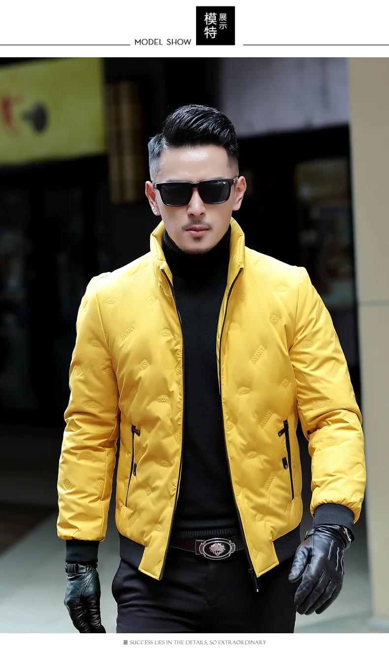 Treasure Luan, зима, стиль, мужская одежда, белая куртка-пуховик на утином пуху, повседневное модное Трендовое Мужское пальто в Корейском стиле, 1717