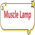 Muscle Lamp Store
