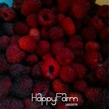 100 шт./пакет по доступной цене! наследие Raspberry сад, без ГМО органические(экологически чистые бонсай фруктовое дерево завод