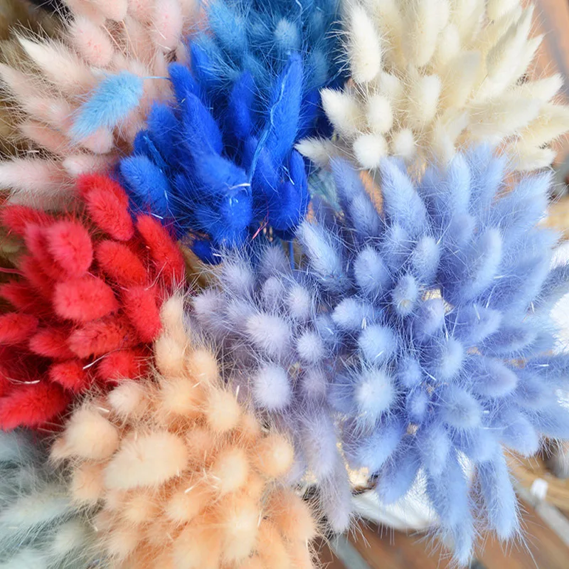 4480344997_1795837866