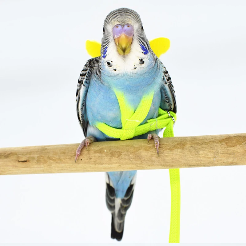 Горячие домашние попугаи птица Тяговый канат ремни поводка для наружного обучения Летающий D6