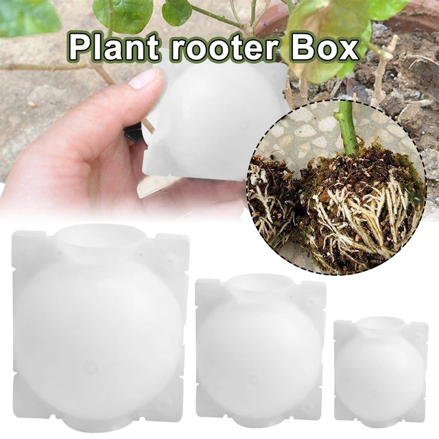Növény Gyökérdoboz Kültéri Kerti Gyökérgyökérnyomás Nyomása Propaining Golyó Doboz Oltó Otthoni Kellékek 2