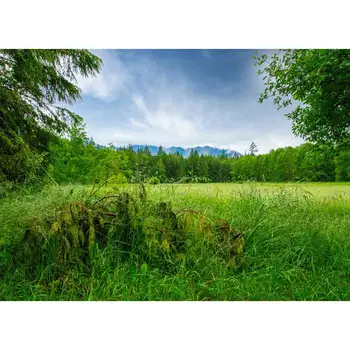 

Vinyl Custom Photography Backdrops Props Landscape wood Theme Photo Studio Background HM20721-01