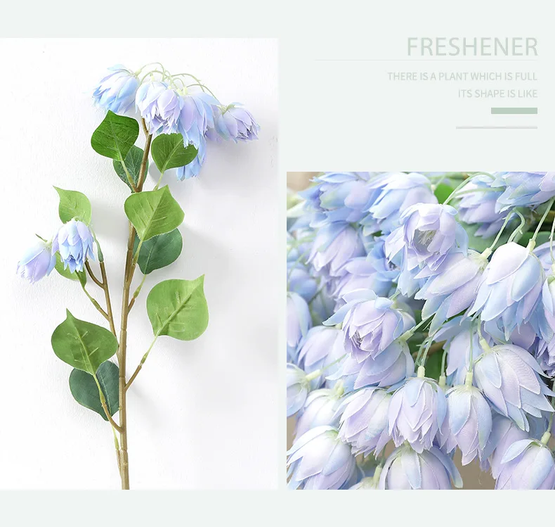 12171685617_1554594402