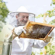 4 в 1 защитный набор оборудования для пчеловодства костюм для пчеловодства шляпа перчатки, инструменты комплект TUE88