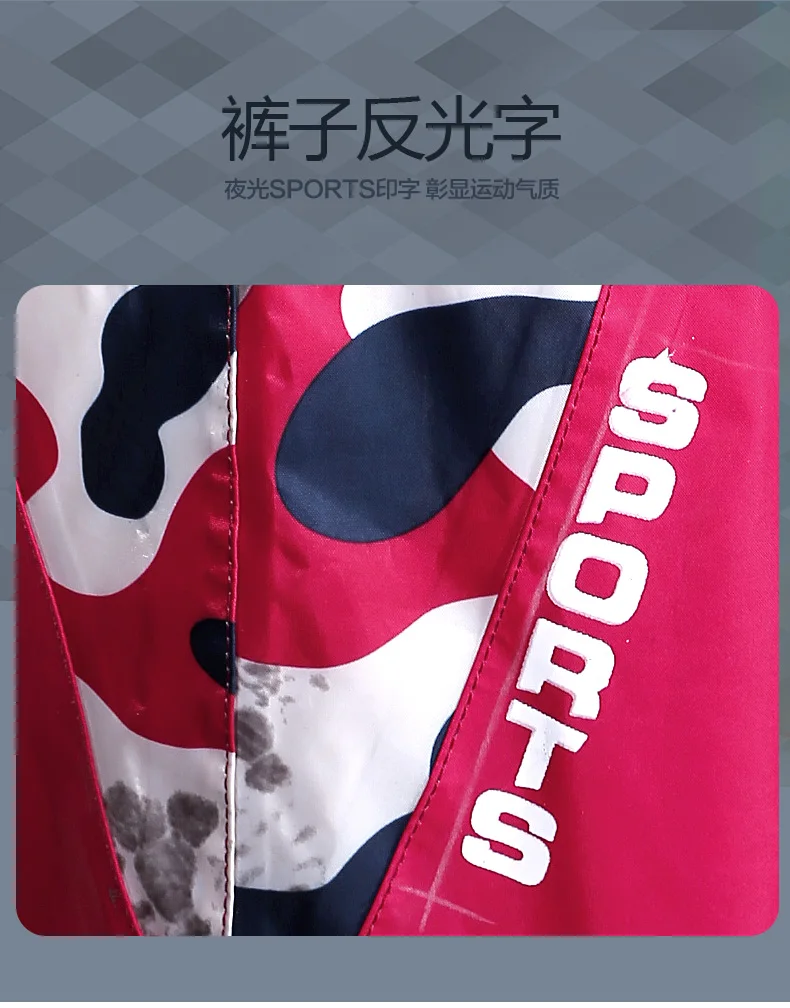 描述图(30)