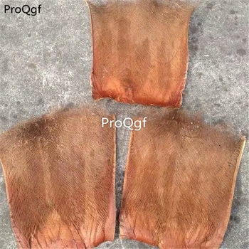 

Ngryise Random 300Gram A Set Trachycarpus fortunei decoration