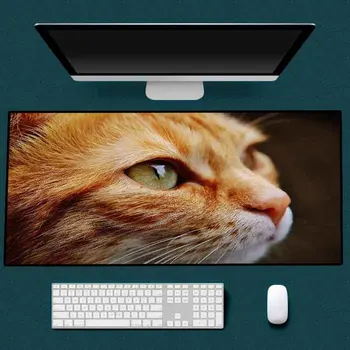 

XGZ Orange White Cat Large Game Mouse Pad Player Lock Edge Keyboard Mouse Animal World Mouse Rubber Mat Carpet Table Mat
