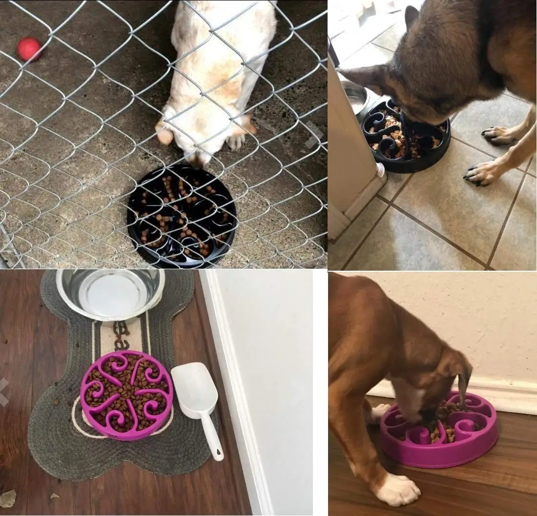 Dog Feeding Bowl Slow Feeder Bath Non Slip Non Toxic Pet Accessories Dog Slow Feeder Bowl For Cat Pets Slow Feeder Dog Bowl
