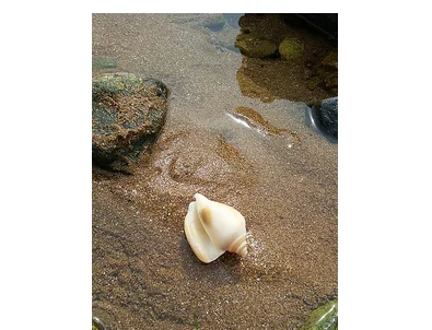 ~WXLD7MU0PWS704%0F`GGUA