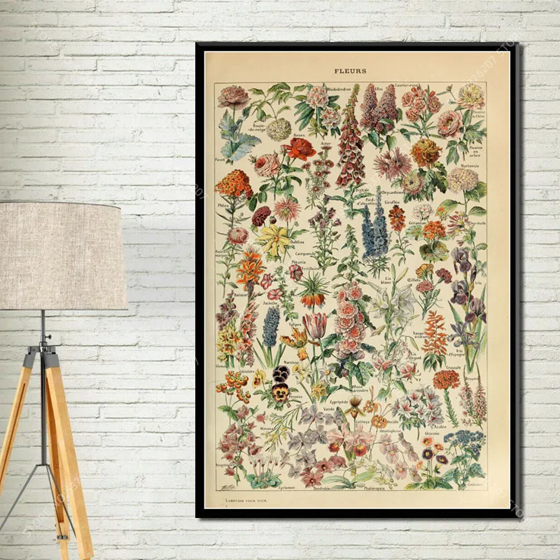 G034 Art Decor Botanical Vegetable Fruit Illustration Vintage Chart Science Wall Art Canvas Painting Silk Poster